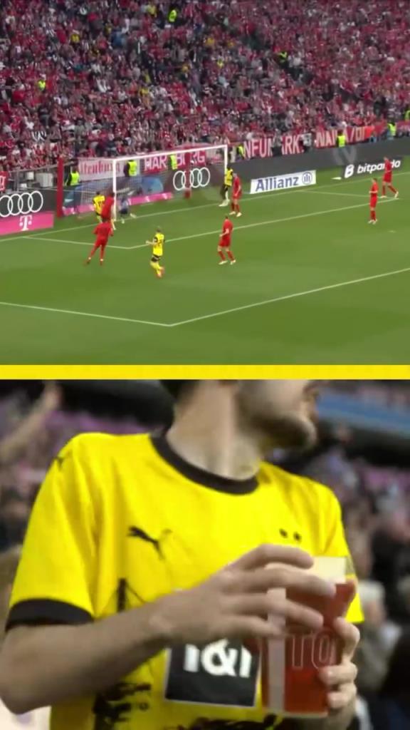 勇者無(wú)懼！這是真多特球迷！在拜仁球迷區(qū)一個(gè)人肆意慶祝！